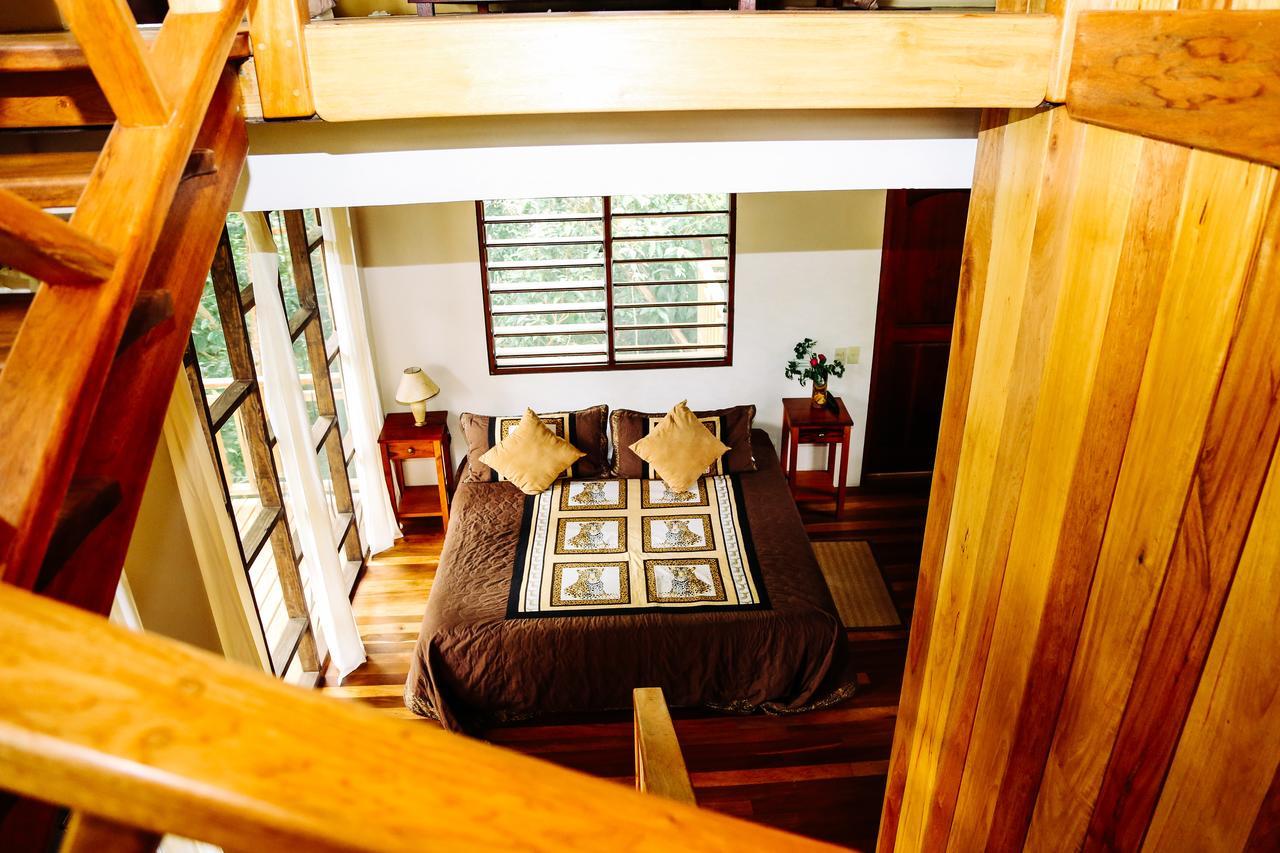 Amber Sunset Jungle Resort ซานอิกนาซิโอ ภายนอก รูปภาพ