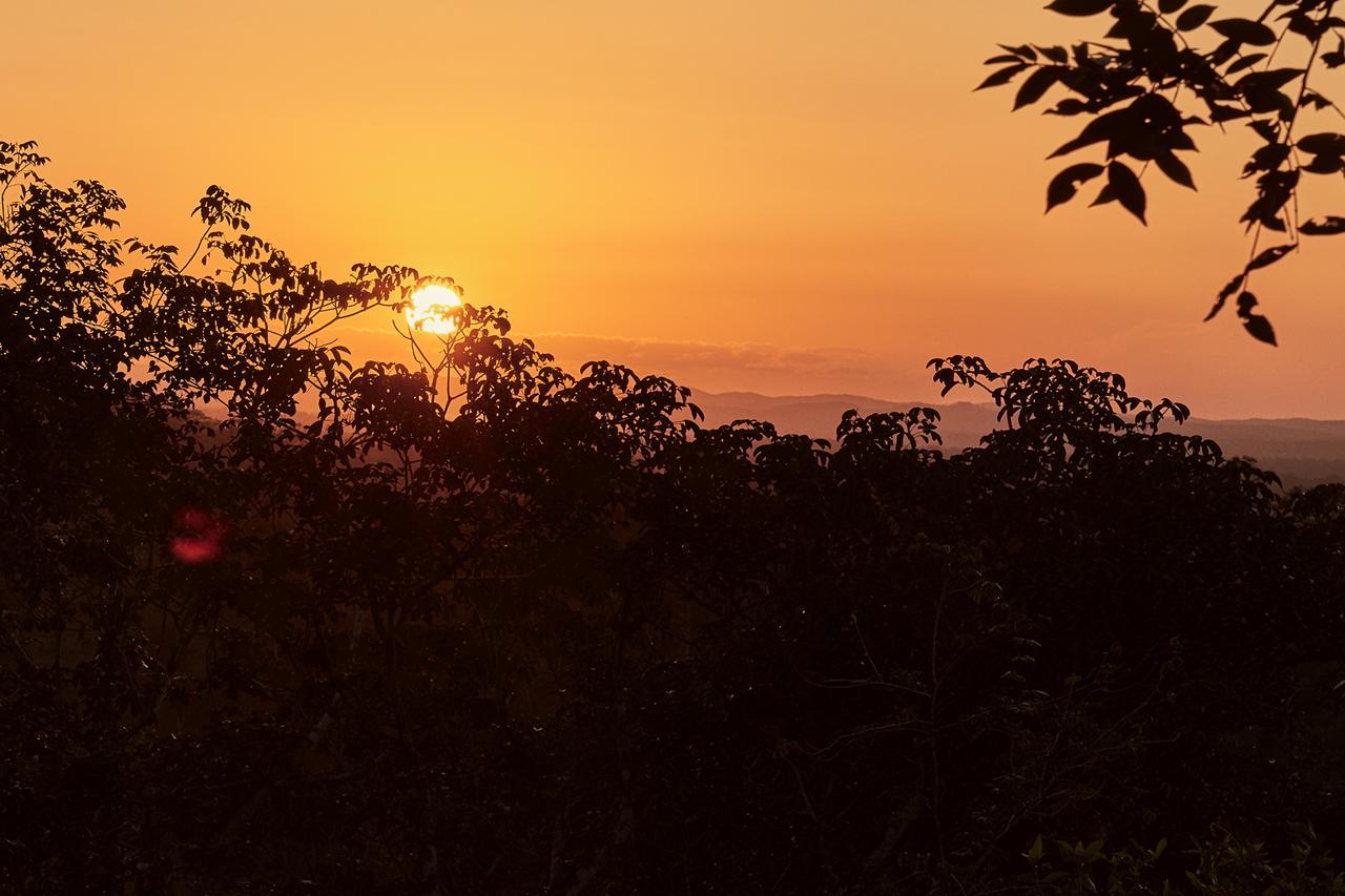 Amber Sunset Jungle Resort ซานอิกนาซิโอ ภายนอก รูปภาพ