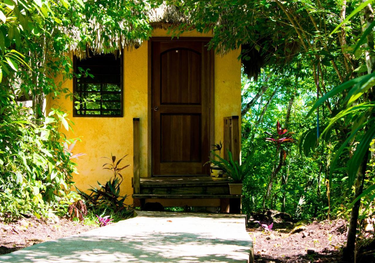 Amber Sunset Jungle Resort ซานอิกนาซิโอ ภายนอก รูปภาพ
